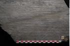 Foto (Detailansicht) von Sigillaria elongata Brongniart (NHMW-GEO-2024-0188-11053)
